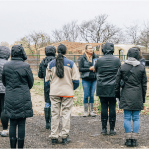 Executive Leadership Experience