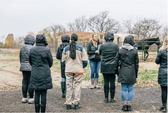 Executive Leadership Experience