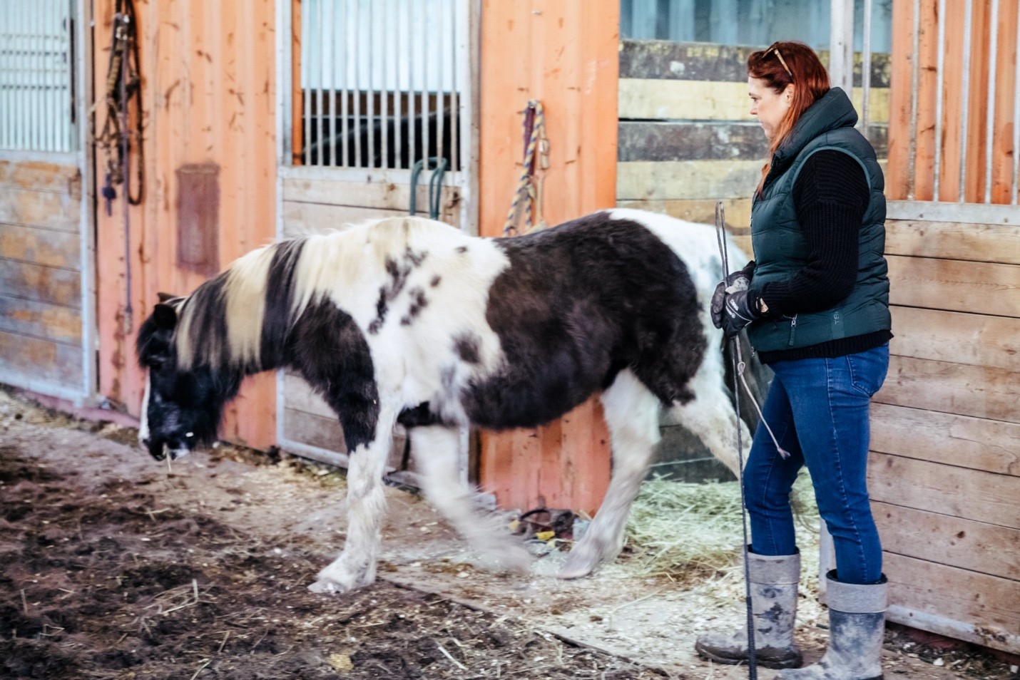 Inside the Work — Introduction to Equine-Guided Awareness