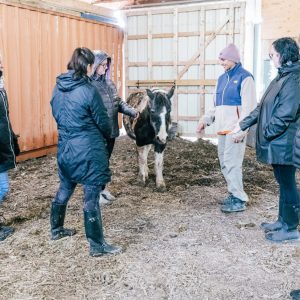 Inside the Work: Application Under Pressure